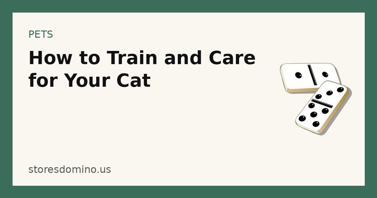 How to Train and Care for Your Cat